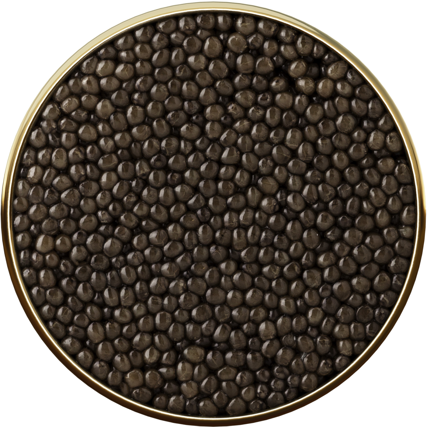 Oscietra Caviar 5* - sleeboo