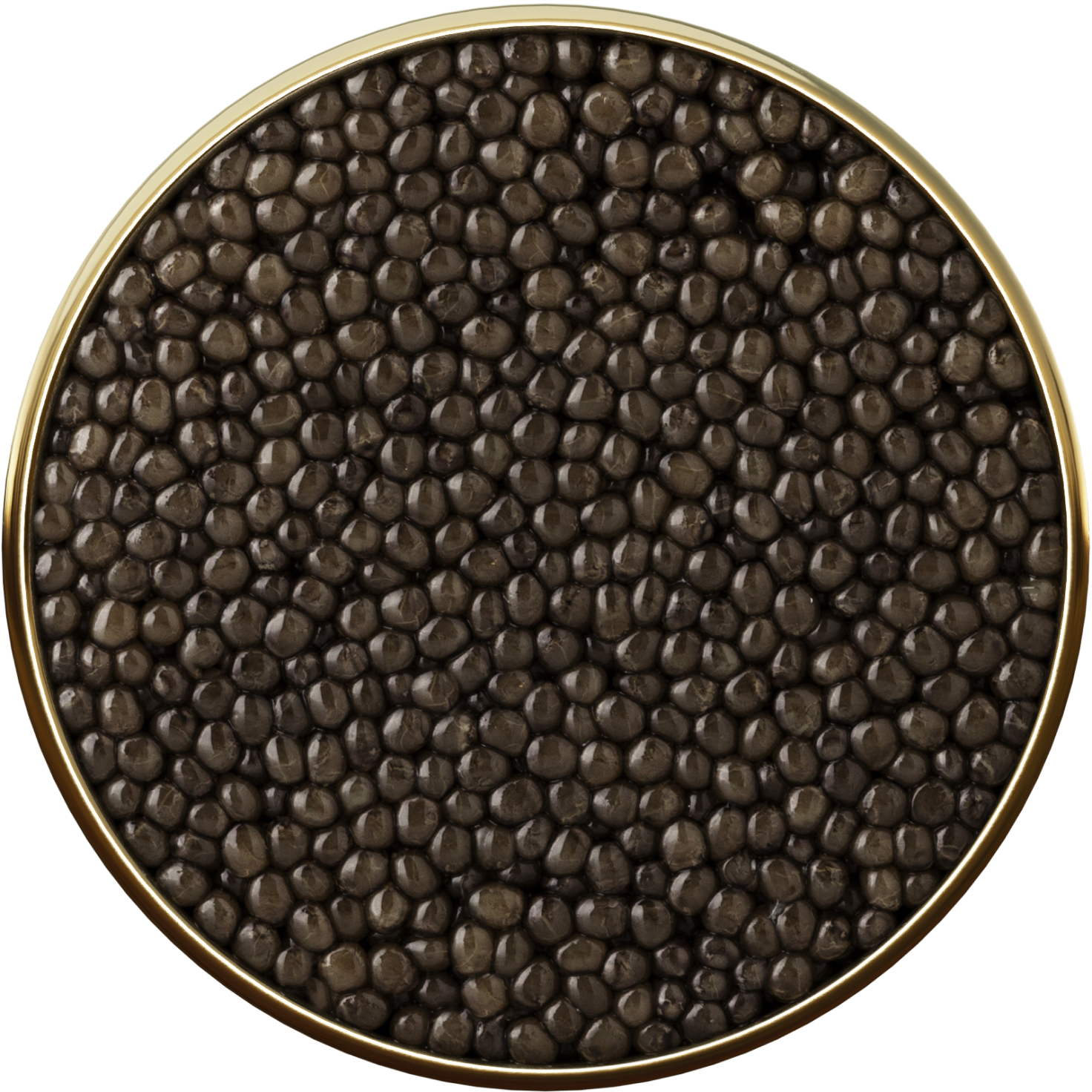 Oscietra Caviar 5* - sleeboo