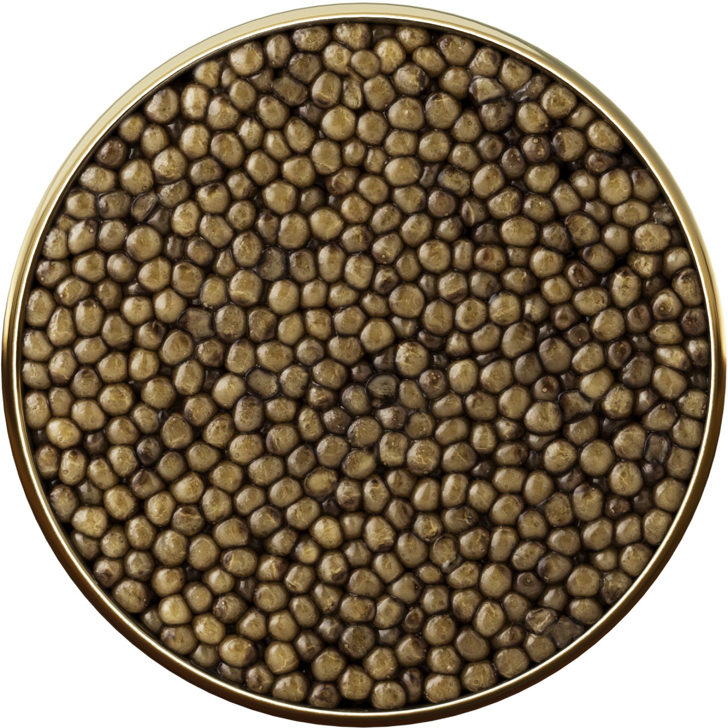 Oscietra Caviar 6* - sleeboo