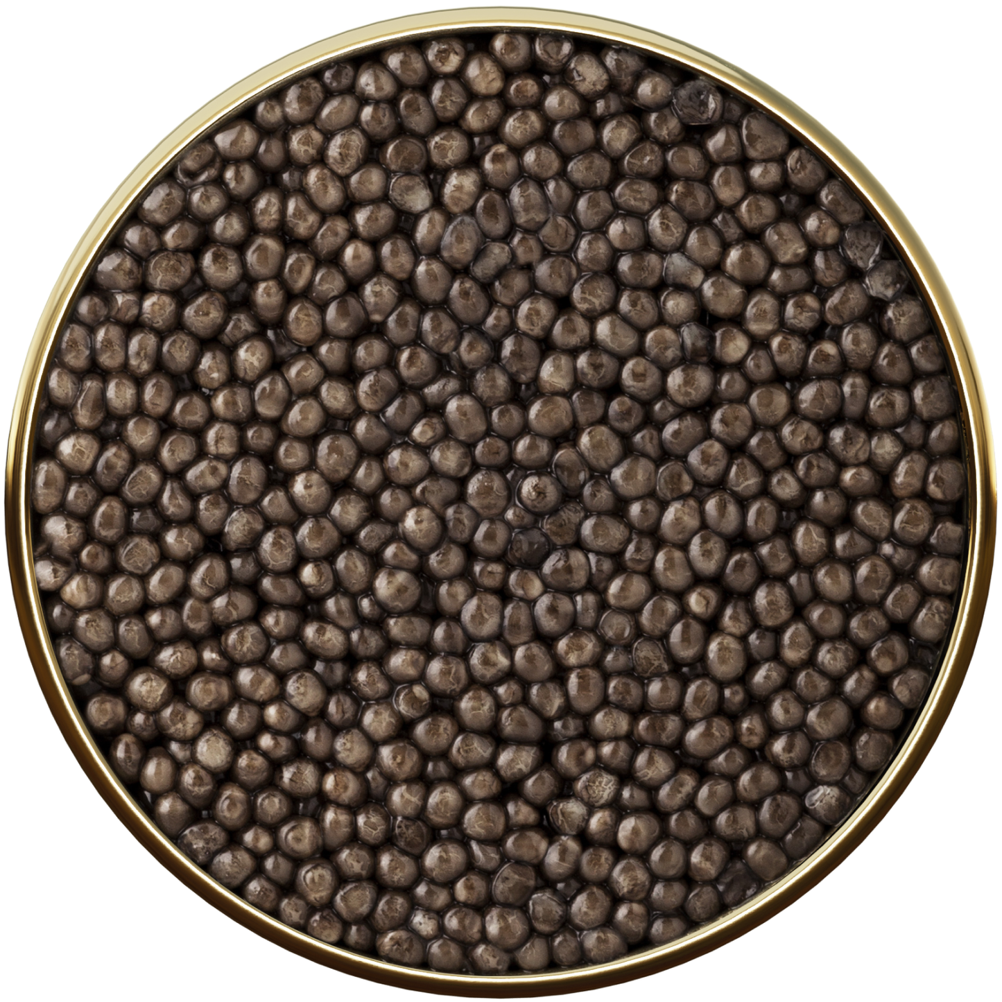 Siberian Caviar 5* - sleeboo