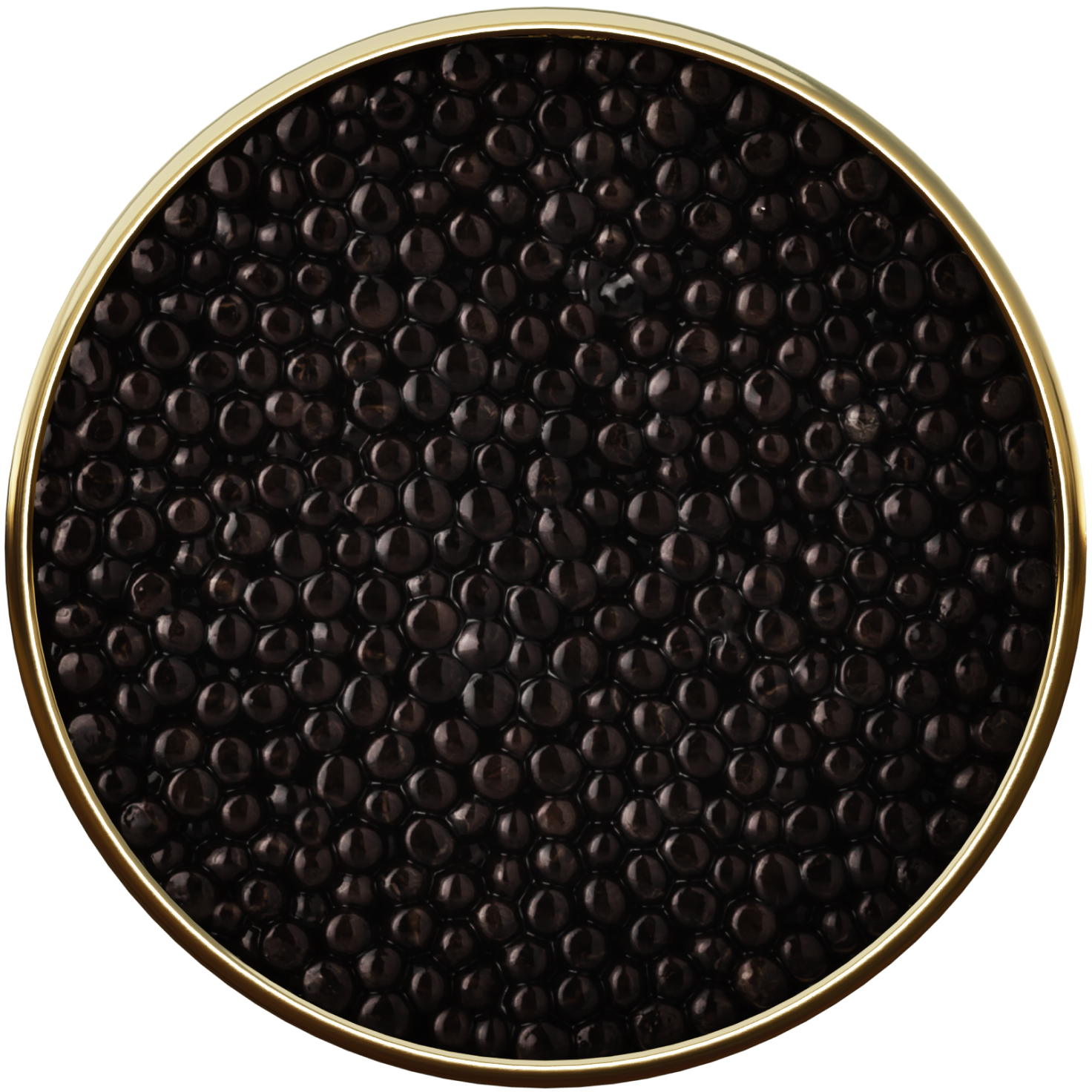 Siberian Caviar 6* - sleeboo
